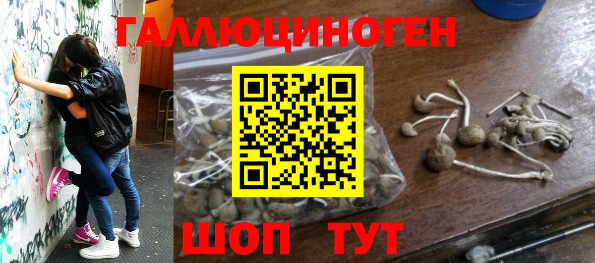 Галлюциногенные грибы Psilocybe  Вход с VPN  Таганрог  Галлюциногенные грибы MAGIC MUSHROOMS 